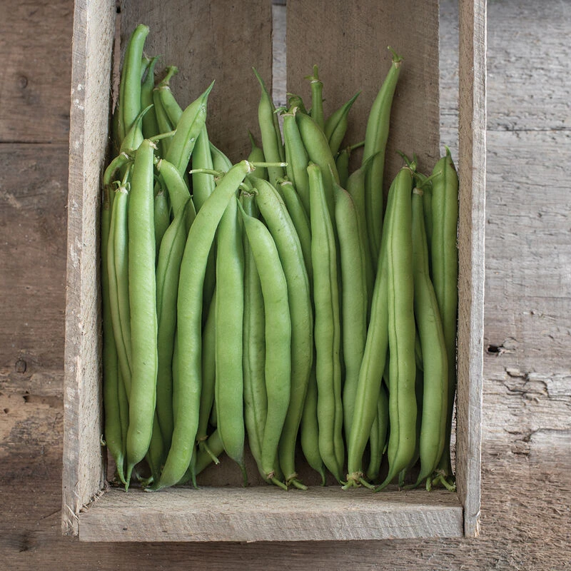 Provider 4 Provider - Image 2