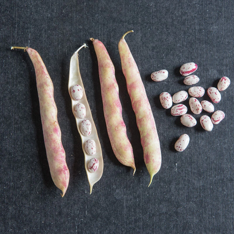 Tongue Of Fire 3 Tongue Of Fire