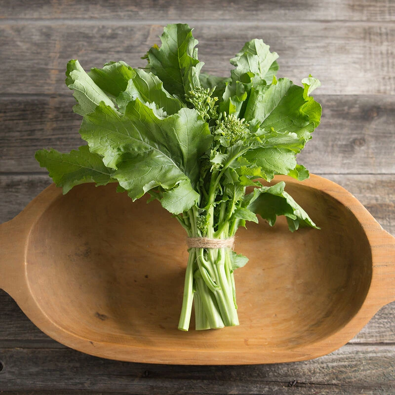 Spring Raab 4 Spring Raab - Image 2