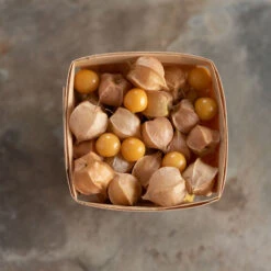 Goldie -Verdant Bloom Store 00773 02 goldiehusk