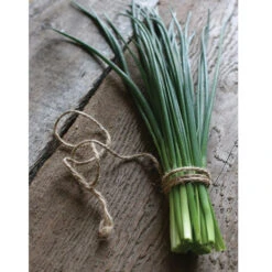 Staro -Verdant Bloom Store 00840 04 staro