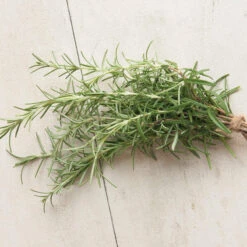 Rosemary