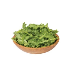 Clodia -Verdant Bloom Store 0111 03 clodia