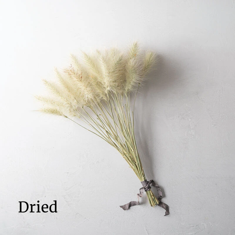 Feathertop 5 Feathertop - Image 3