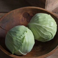 Storage No. 4 -Verdant Bloom Store 0167 02 storage no4