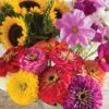 Cut Flower Kit For Market Growers -Verdant Bloom Store 01783 01 cut flower kit