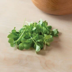 Radish, Daikon 9 Radish, Daikon -Verdant Bloom Store 02155mg 03 daikonradmicro