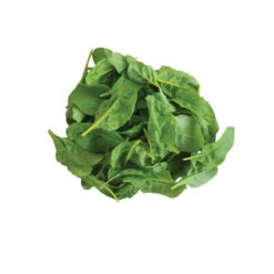 Bright Yellow -Verdant Bloom Store 02205d 02 brightyellow