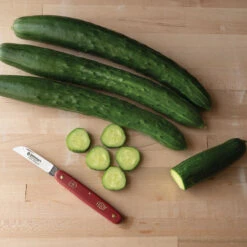 Tasty Jade -Verdant Bloom Store 02323 02 tastyjade cucumber