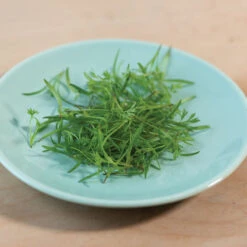 Carrot -Verdant Bloom Store 02468m 03 o p carrot