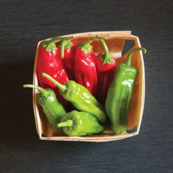 Mellow Star -Verdant Bloom Store 02592 03 mellowstar