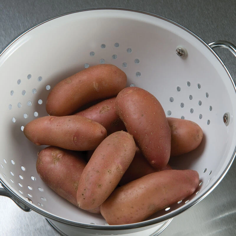 French Fingerling 4 French Fingerling - Image 2