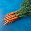 Hercules 1 Hercules -Verdant Bloom Store 02735 02 hercules carrot