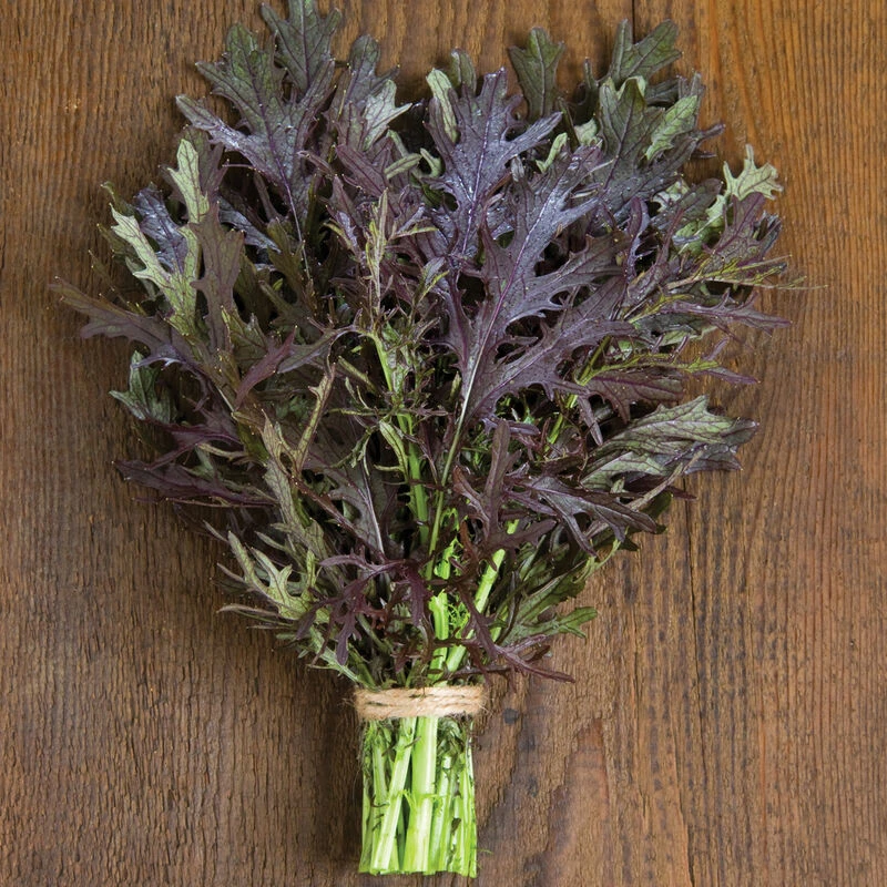 Ruby Streaks 5 Ruby Streaks - Image 3