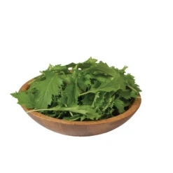 Mizuna 7 Mizuna -Verdant Bloom Store 02883 02 mizuna