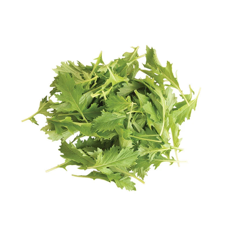 Mizuna 5 Mizuna - Image 3