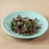 Shiso, Britton -Verdant Bloom Store 02943m 03 shiso britton