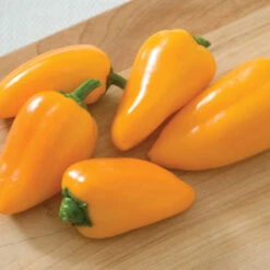 Lunchbox Yellow -Verdant Bloom Store 03031g 02 lunchboxyellow