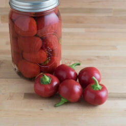 Capperino -Verdant Bloom Store 03094 02 capperino