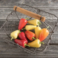 Havasu -Verdant Bloom Store 03096 03 havasu