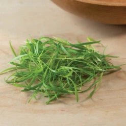 Fennel, Green -Verdant Bloom Store 03152m 03 fennelgreensilo