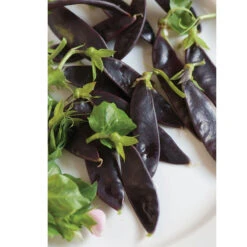 Royal Snow -Verdant Bloom Store 03242 03 royalsnow