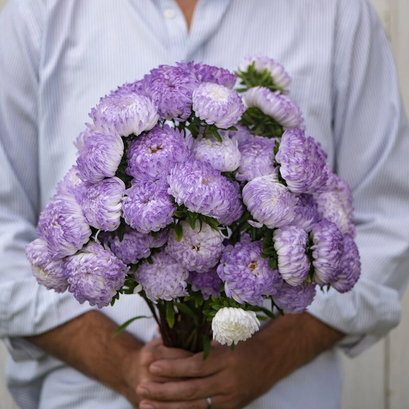 Tower Silver 4 Tower Silver - Image 2