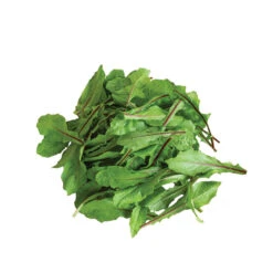 Italiko Red -Verdant Bloom Store 03358 04 italidored