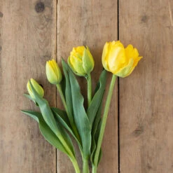 Marie Jo -Verdant Bloom Store 03476 03 marie jo