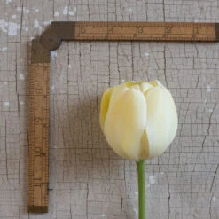 Ivory Floradale -Verdant Bloom Store 03492 03 ivory floridale