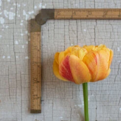 Sunlover -Verdant Bloom Store 03493 03 sunlover