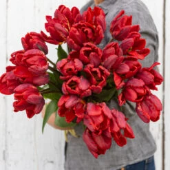 Rococo -Verdant Bloom Store 03497 03 rococo