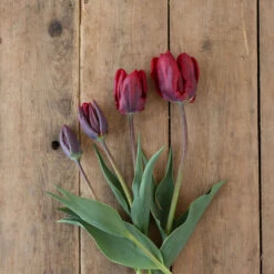 Rococo -Verdant Bloom Store 03497 04 rococo