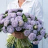 Lady Coral Lavender -Verdant Bloom Store 03499 01 lady coral lavender