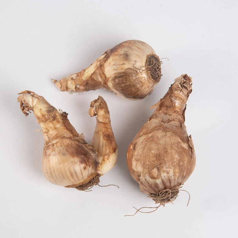 Obdam 5 Obdam - Image 3