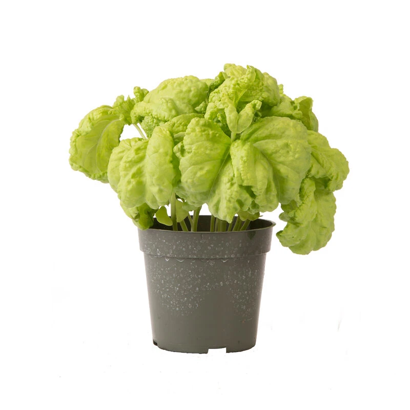 Tuscany 5 Tuscany - Image 3