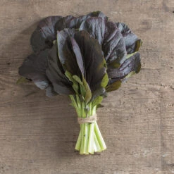 Red Kingdom -Verdant Bloom Store 03748 02 redkingdom