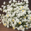 Winged Everlasting -Verdant Bloom Store 03800 01 winged everlasting