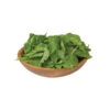 Arugula (Standard) -Verdant Bloom Store 0385 03 arugula