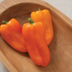 Glow -Verdant Bloom Store 03923g 02 glow