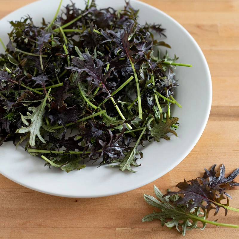 KX-1 4 KX-1 - Image 2