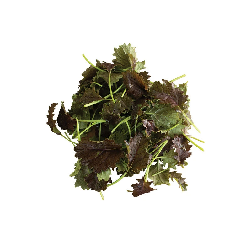 KX-1 5 KX-1 - Image 3