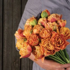 Sensual Touch -Verdant Bloom Store 04058 04 sensual touch