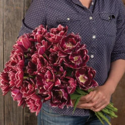 Dream Touch -Verdant Bloom Store 04060 03 dream touch