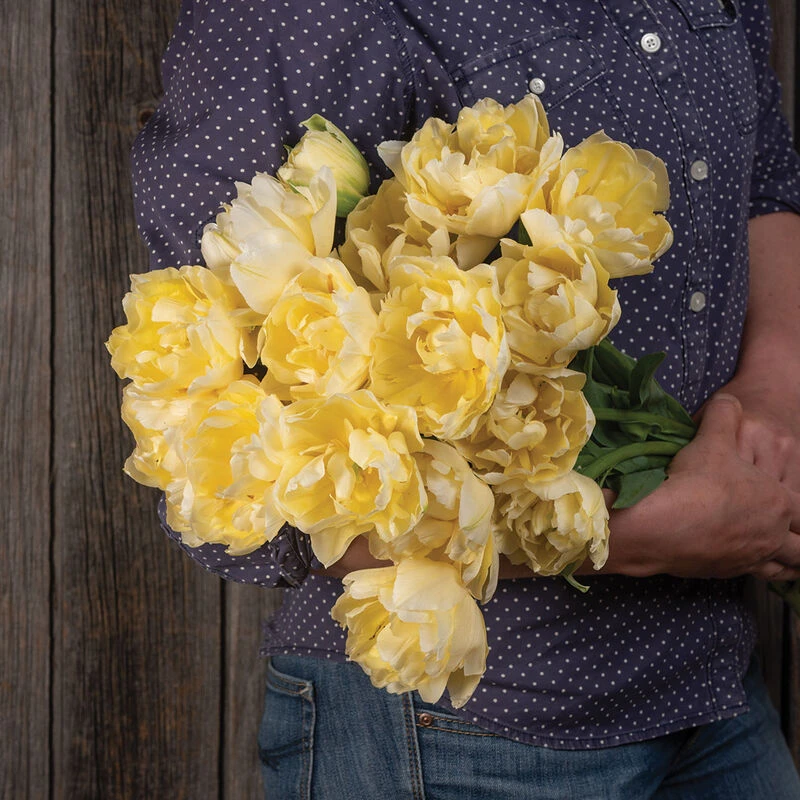 Verona 4 Verona - Image 2