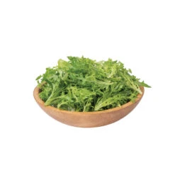 Tambay -Verdant Bloom Store 04203 02 tambay