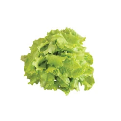 Black Seeded Simpson -Verdant Bloom Store 0425n 04 blackseedsimpsalad.jpg