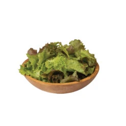 Red Sails -Verdant Bloom Store 0431g 04 redsails