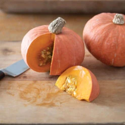 Marmalade -Verdant Bloom Store 04424g 03 marmalade