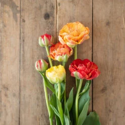 New Arrival -Verdant Bloom Store 04448 01 gudoshnickdouble